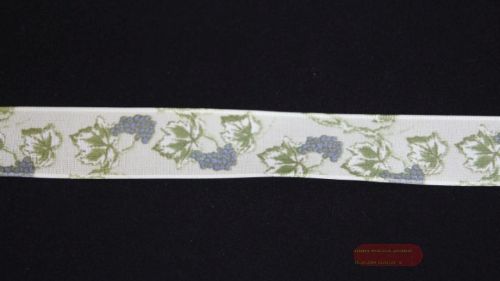 Bild von Band 20m/ 25mm, Trauben, blau/grün