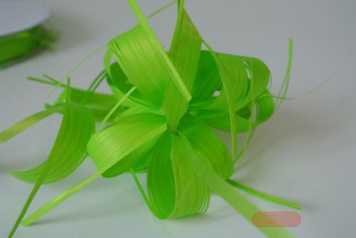 Bild von Susifix 40m/ 17mm, Svelto uni, hellgrün