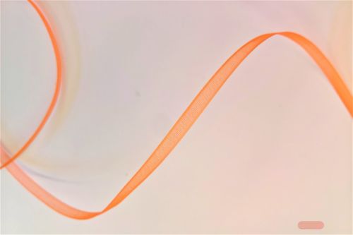 Bild von Band 50m/ 03mm, Organza, orange