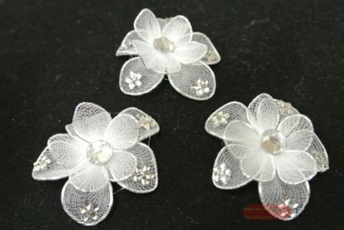 Bild von Deco, Blume 35mm,