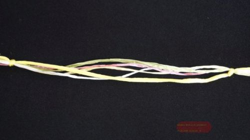 Bild von Band 10m/ 10mm, Seidenkordel & Bast, gelb