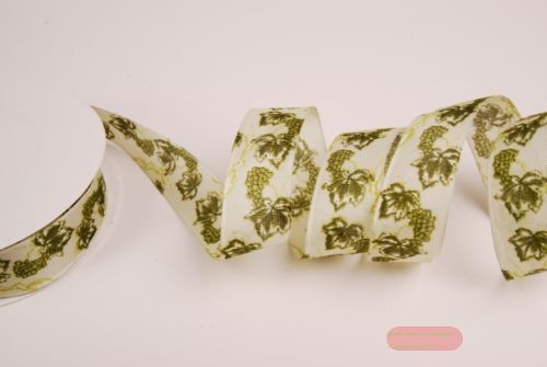 Bild von Band 20m/ 25mm, Traube, grün