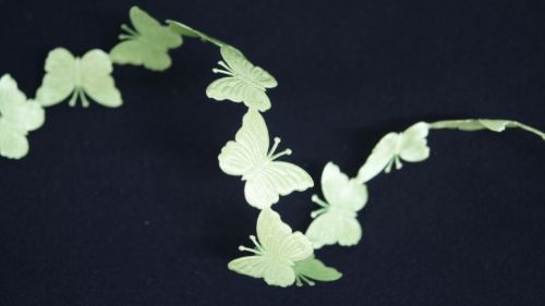 Bild von Band 10y/ 30mm, Butterfly gestanzt, grün