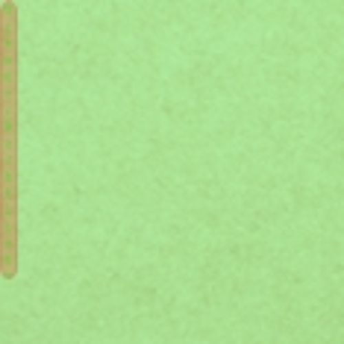 Bild von Seidenp, 50x  75cm farbig 18g/m2, lindengrün