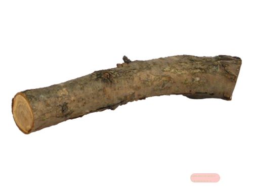 Bild von Gartenkeramik, Holzast mit Stopper, zum aufstecken