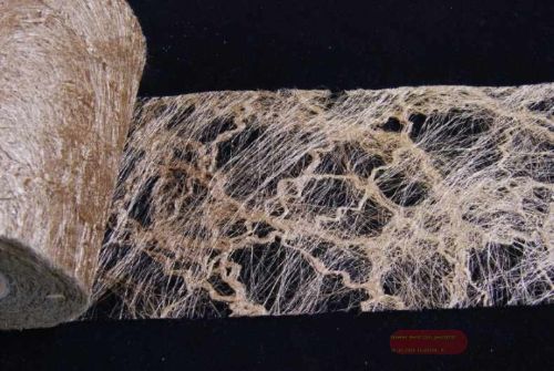 Bild von Deco, 10m/ 100mm Sizotwist, gold