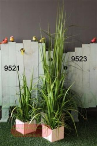 Bild von Schilf dekorativ - 150cm, grün*