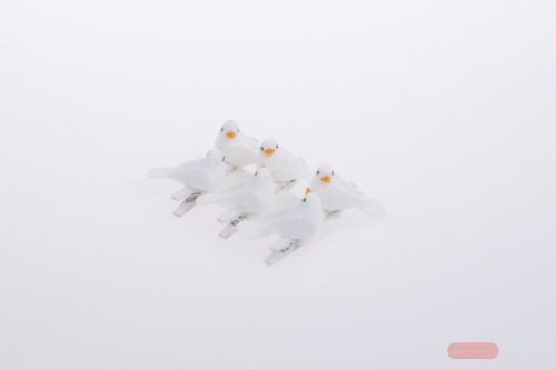 Bild von Klammer mini, mit Taube 3cm - 3x  6 Stk, weiss