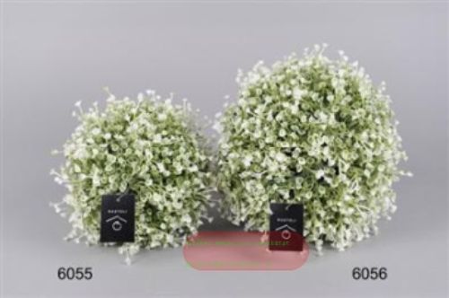 Bild von Kugelstrauch, 23cm - Penstemon, grün/weiss