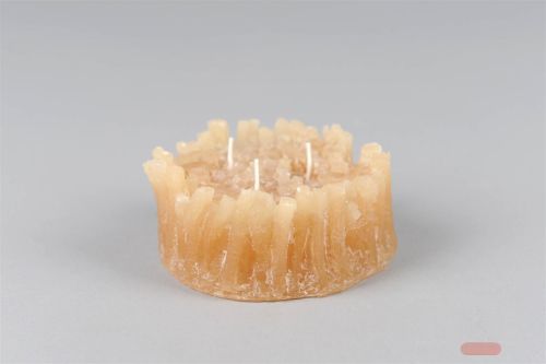 Bild von Baumstamm, Ø11 x H 5cm, latte