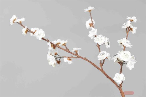 Bild von Zweig, mit Blüten L90cm, weiss