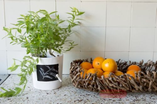 Bild von Schale, aus Zweigen - L55x 23x H12cm, natur