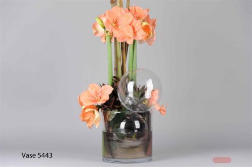 Bild von Kugel, Glas Sfera Ø22cm, klar