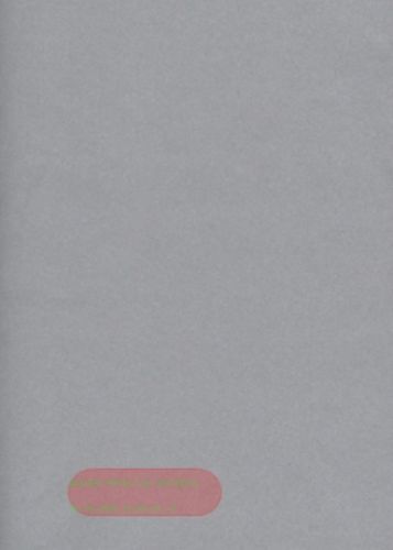 Bild von Rolle 250m x 100cm, Uni matt, silber/silber*