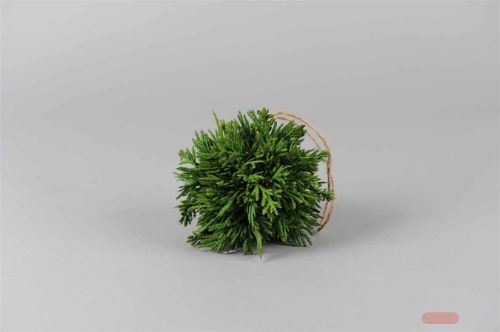 Bild von Deko Kugel, Thuja smaragd 10cm, grün