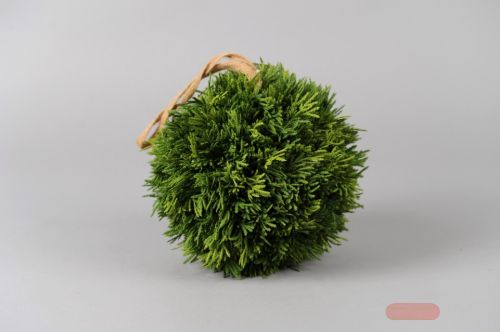 Bild von Deko Kugel, Thuja smaragd 20cm, grün