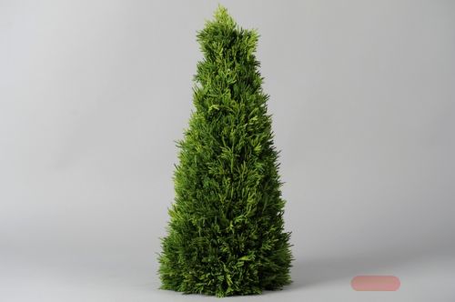 Bild von Deko Baum, Thuja smaragd H56cm, grün