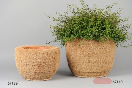 Bild von Korb, Cocus mit Tontopf - Ø34 x H23.5cm, natur