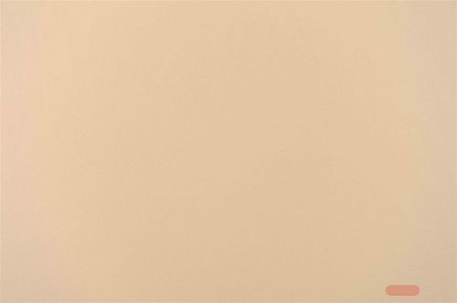 Bild von Placemat, 43x 30cm Lederoptik, latté