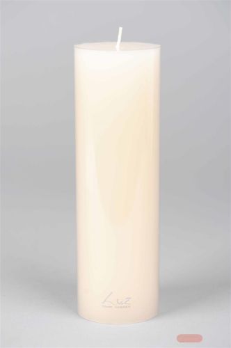 Bild von Kerze Classic, Uni - 24 x Ø 76mm, asper weiss