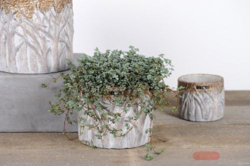 Bild von Blumentopf, Bosque Zement Ø13x H12cm, créme/braun*