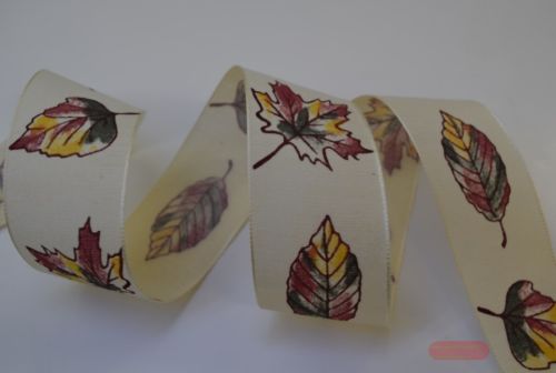 Bild von Band 15m/ 40mm, Herbst - mit Blatt, natur