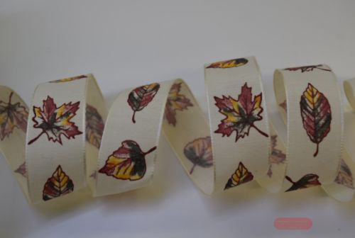 Bild von Band 15m/ 25mm, Herbst - mit Blatt, natur
