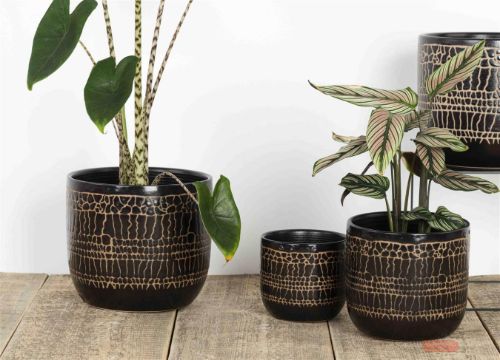 Bild von Blumentopf, Croco Ø11.5x H10.5cm, black