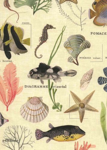 Bild von Rolle 200m x 100cm, Sansibar-Meerestiere, créme