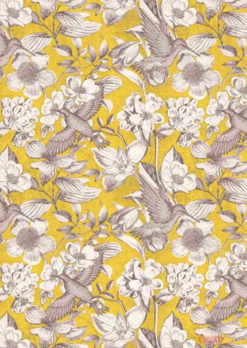 Bild von Rolle 200m x 100cm, Colibri & Blumen, gelb