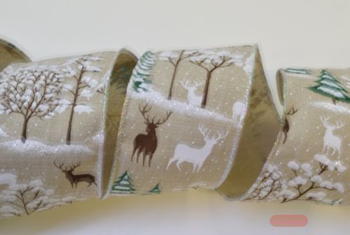 Bild von Band 10m/ 65mm, Winterlandschaft, natur