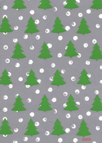 Bild von Bogen 70x 100cm, Arbola Tanne, silber-grün