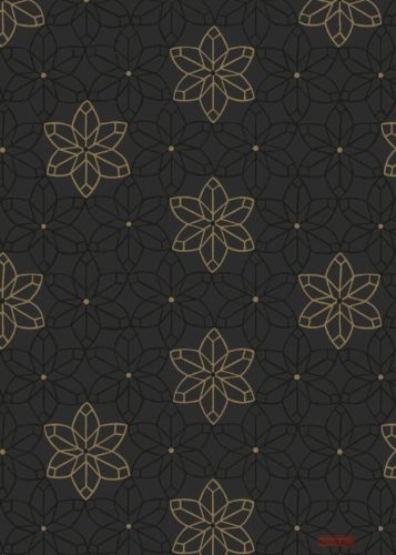 Bild von Bogen 70x 100cm, Aciano, schwarz