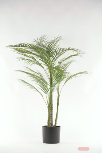 Bild von Forest, Farn im Topf, H 90cm, grün
