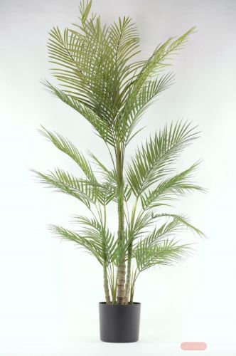 Bild von Forest, Farn im Topf, H132cm, grün