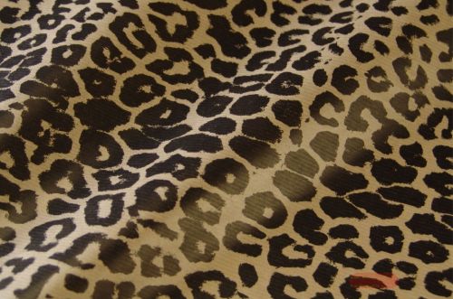 Bild von Blm-Papier,  75cm - Leo, schwarz-braun