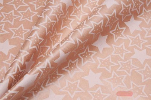 Bild von Blm-Papier,  75cm - Festive Stars, weiss