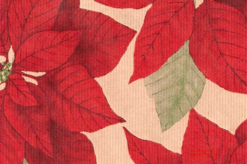 Bild von Blm-Papier,  75cm - Poinsettia, rot-grün