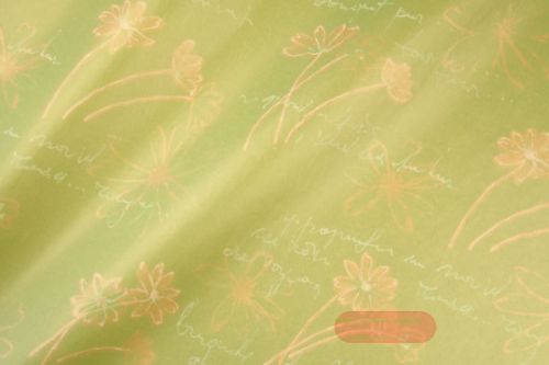 Bild von Blm-Papier, 100cm - Swinging Flowers, lindgrün