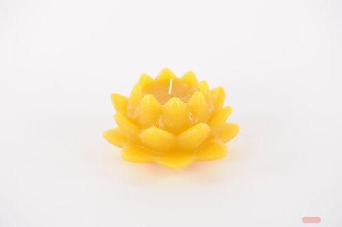 Bild von Schwimmkerze, Seerose H8x Ø13cm, ocker