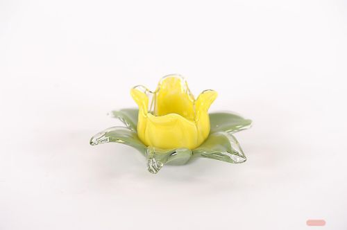 Bild von Teelichthalter, Amaryllis - Ø14x H7cm, yellow/green