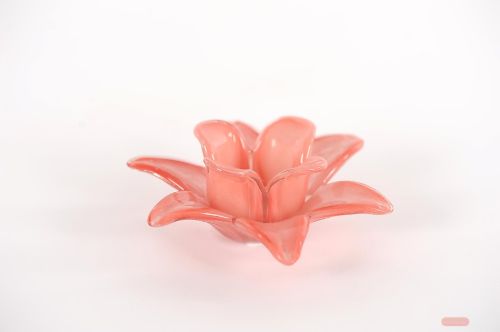 Bild von Teelichthalter, Amaryllis - Ø14x H7cm, red pink