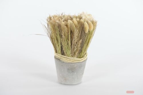 Bild von Blumenstrauß, im Topf Ø11x H22cm, vanille/grün