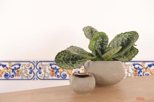 Bild von Blumentopf, Cuadrado Keramik Ø9.7x H7cm, h'grau