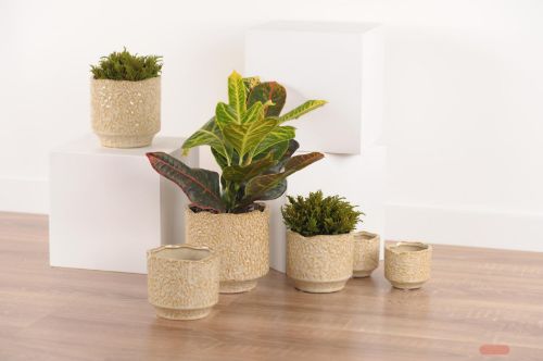 Bild von Blumentopf, Woestijnduin Ø7.6x H6.5cm, sand