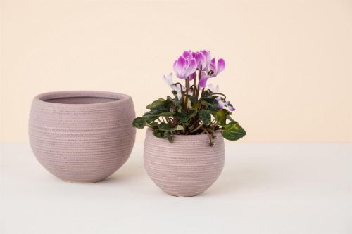 Bild von Blumentopf, Dawn Ø12.5x H10cm, pink