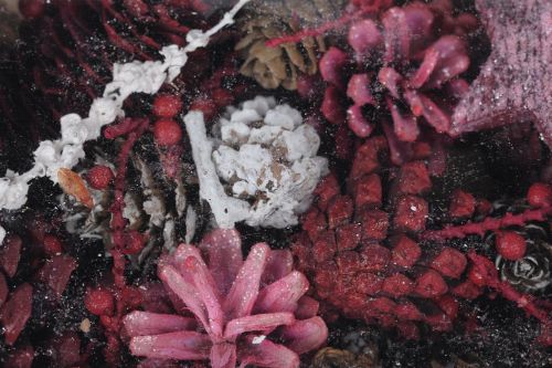 Bild von Festive Exotic, L12x 6x H20cm, red