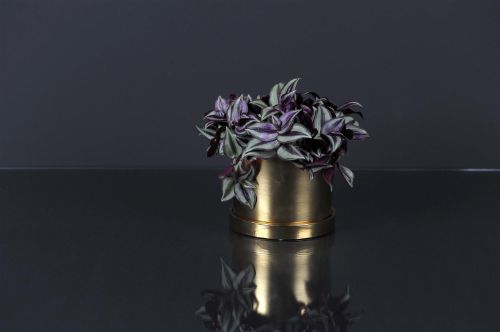 Bild von Blumentopf, Trou Keramik Ø20.5x H17cm, gold