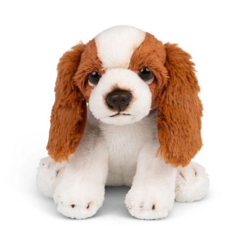 Bild von Plüschtier, Mini Charles Spaniel 15cm, braun-weiss